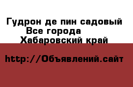 Гудрон де пин садовый - Все города  »    . Хабаровский край